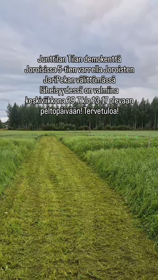 Peltopäivä Joroisissa tänään keskiviikkona 29.7.26 klo 13-17 Tervetuloa!
Maatalousdronen demotyönäytös klo 14.30 tienoilla!
Peltopäivässä on näytillä demoruuduilla Junttilan Tilan liki kaikki yli 40 kevätviljan ja palkokasvien lajiketta!
Peltopäivä on Joroisten JariPekan välittömässä läheisyydessä. Pysäköinti JariPekan rekkaparkin perälle. Eli helppo saapua suoraan 5-tieltä!
Tervetuloa!
Tilaisuuden päätteeksi ruokatarjoilu.
Terveisin Junttilan Tila Oy
#junttilantila #huomisensiemenet #peltopäivä #sertifioitusiemen
