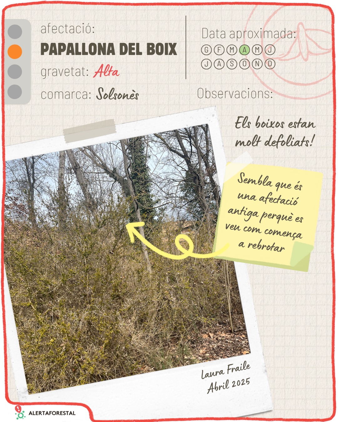 🌿📸 Observacions destacades d’abril i març a AlertaForestal!…