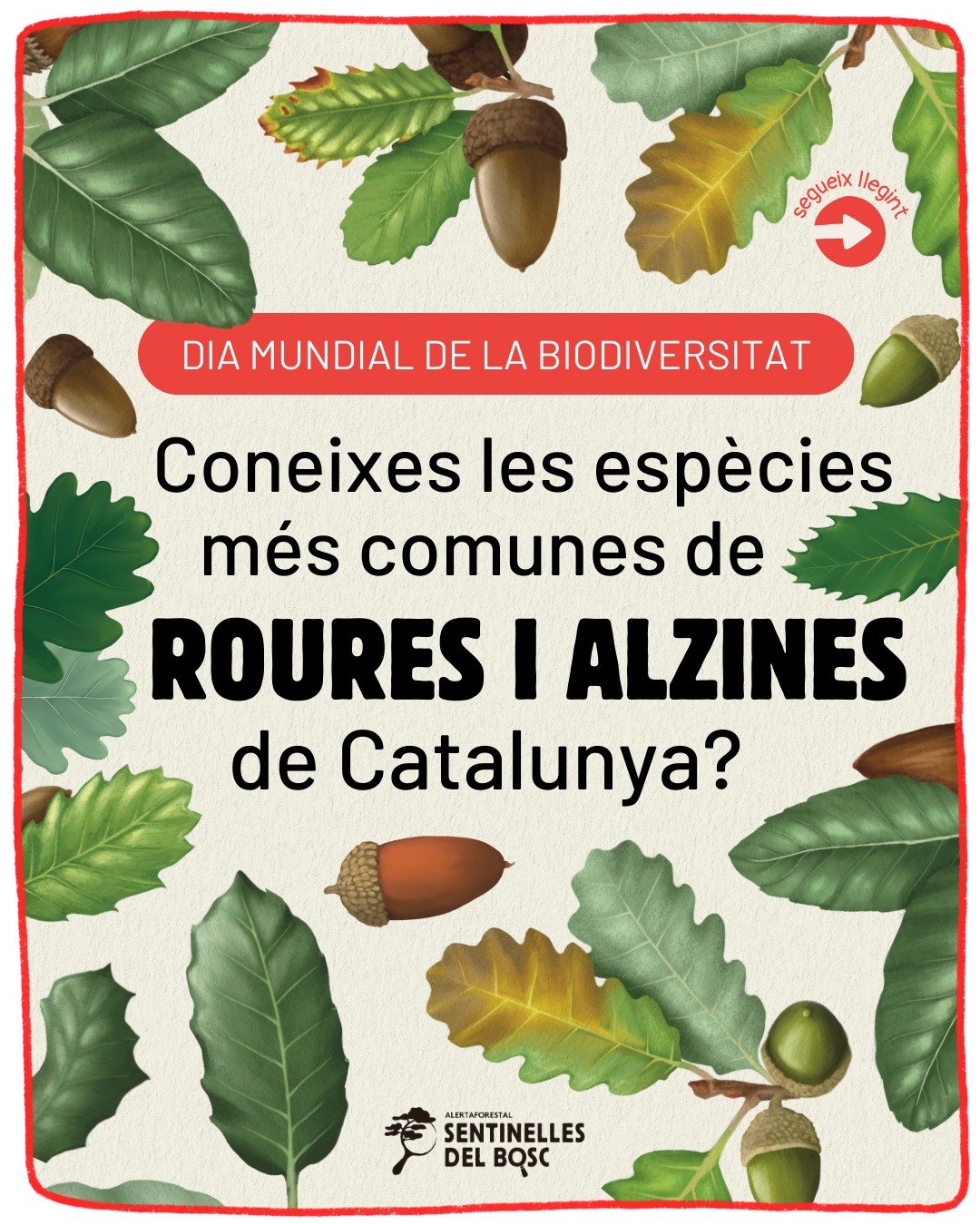 🌍 Avui és el Dia Mundial de la Biodiversitat i volem posar e…