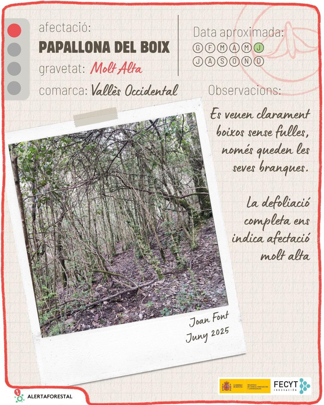 🦋 Ja tenim aquí les observacions destacades de maig i juny!…