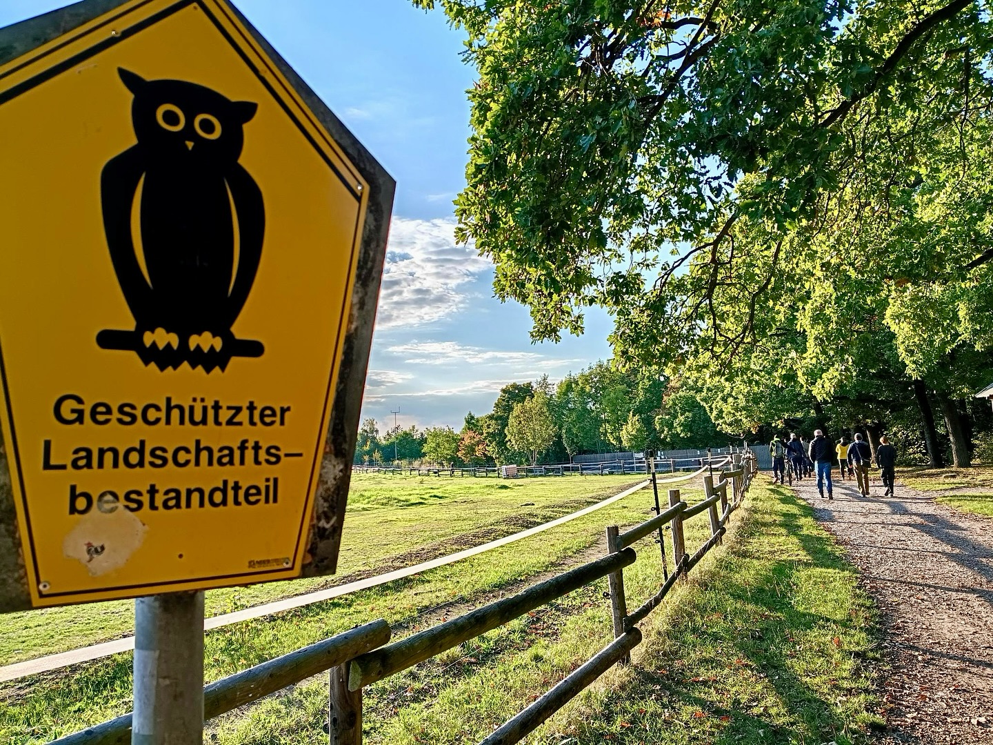 Wald Natur sein lassen🌲🌳
Letzte Woche fand N°2 unseres Waldspaziergangs mit Interessierten im Erfurter Steigerwald statt. Mit Revierförsterin Uta Krispin und dem stellvertretenden Leiter des Erfurter Umweltamts, Jens Düring, haben wir vor allem das Thema Waldwildnis beleuchtet.
Als Erfurter Bündnisgrüne wollen wir erreichen, dass ein Stück Steigerwald aus der Nutzung genommen wird und der Wald sich dort frei entwickeln kann. 💚
Bei dem Spaziergang haben wir uns verschiedene Waldbewirtschaftungsformen im Steiger angeschaut - von der historischen Mittelwaldbewirtschaftung bis zu einem Stückchen, wo heute schon wenig gemacht wird. Deutlich wurde dabei, dass zum Erhalt einiger Arten und der biologischen Diversität an manchen Stellen Bewirtschaftung nötig ist: damit der Wald nicht verdunkelt, sondern lichtbedürftige Bäume der 2. Generation nachkommen können... und z.B. Eichenstandorte erhalten bleiben.
Wie so oft gilt: der vielfältige Mix macht einen klimaresilienten Wald aus. Wir bleiben dran und bald gibt´s das nächste Update von uns zum Thema Waldwildnis im Erfurter Steiger. 🌱🌻
