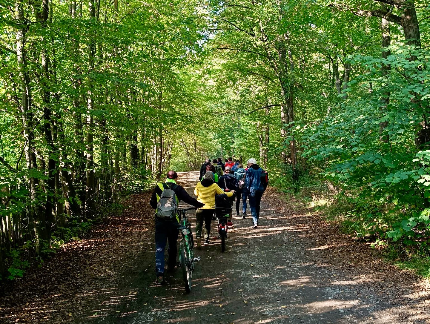 Wald Natur sein lassen🌲🌳
Letzte Woche fand N°2 unseres Waldspaziergangs mit Interessierten im Erfurter Steigerwald statt. Mit Revierförsterin Uta Krispin und dem stellvertretenden Leiter des Erfurter Umweltamts, Jens Düring, haben wir vor allem das Thema Waldwildnis beleuchtet. 
Als Erfurter Bündnisgrüne wollen wir erreichen, dass ein Stück Steigerwald aus der Nutzung genommen wird und der Wald sich dort frei entwickeln kann. 💚
Bei dem Spaziergang haben wir uns verschiedene Waldbewirtschaftungsformen im Steiger angeschaut - von der historischen Mittelwaldbewirtschaftung bis zu einem Stückchen, wo heute schon wenig gemacht wird. Deutlich wurde dabei, dass zum Erhalt einiger Arten und der biologischen Diversität an manchen Stellen Bewirtschaftung nötig ist: damit der Wald nicht verdunkelt, sondern lichtbedürftige Bäume der 2. Generation nachkommen können... und z.B. Eichenstandorte erhalten bleiben.
Wie so oft gilt: der vielfältige Mix macht einen klimaresilienten Wald aus. Wir bleiben dran und bald gibt´s das nächste Update von uns zum Thema Waldwildnis im Erfurter Steiger. 🌱🌻