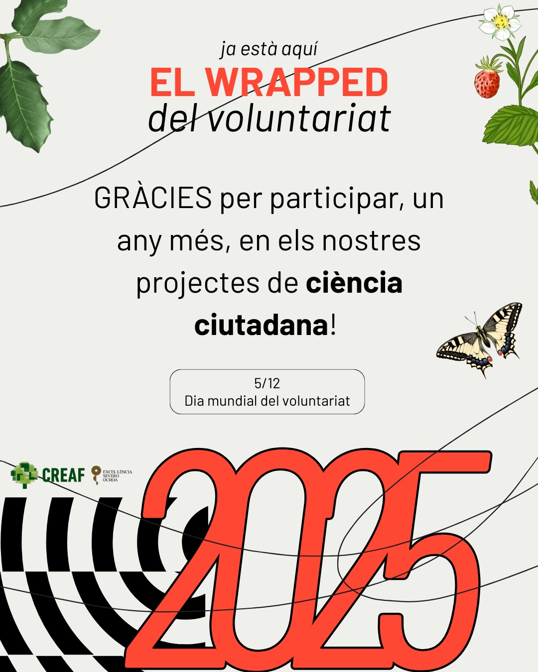 💖🫂Avui celebrem a totes les persones que dediqueu el vostre…