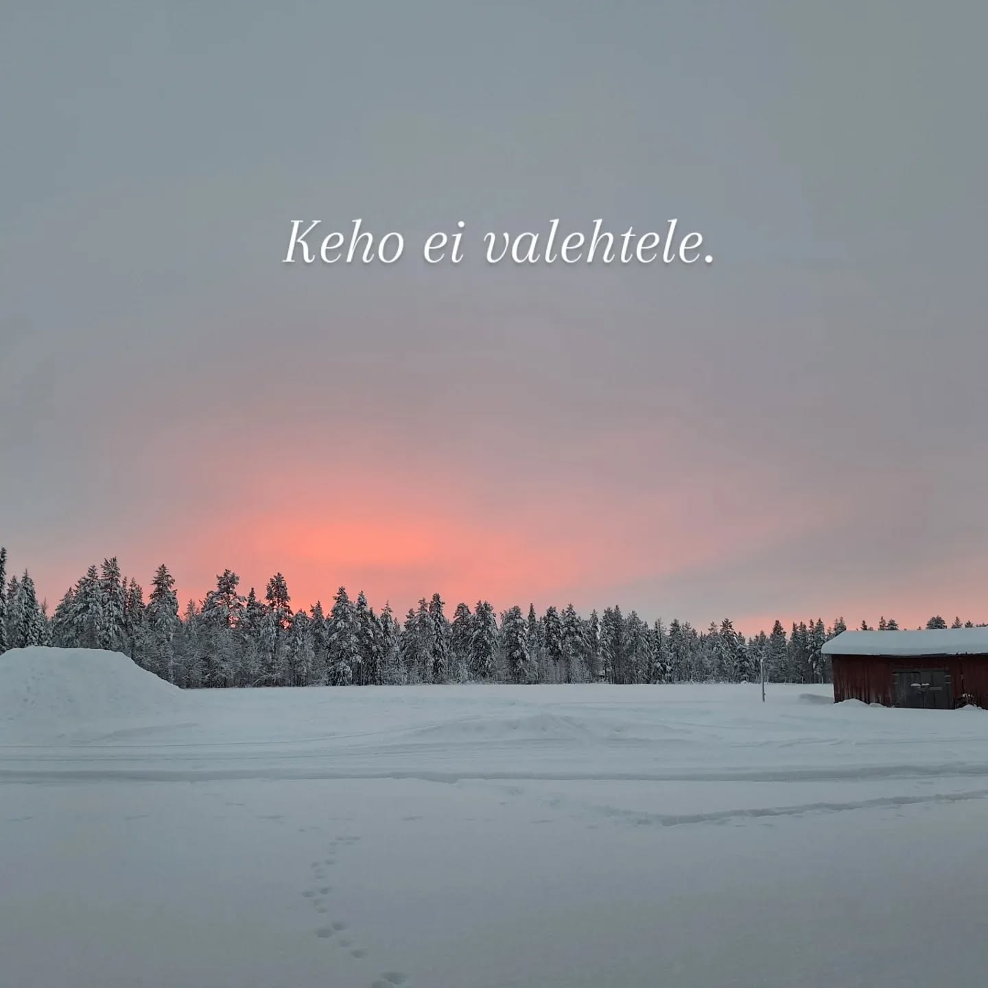 Rosen-metodin avulla on mahdollista päästä kosketuksiin tunteiden ja kokemusten kanssa kehon kautta.
Keho ei valehtele.
Hengityksen ja lihasten avulla keho osoittaa tunteidemme todellisuuden. Lihasjännityksen avulla keho tukahduttaa tunteita ja kokemuksia, joita emme kykene käsittelemään niiden tapahtumahetkellä.
Niinpä usein unohdamme, mitä alunperin tapahtui.
Nuo tunteet ja kokemukset ovat kuitenkin sisällämme, varastoituneina kehoomme, ja meidän on ponnisteltava suuresti pitääksemme ne tietoisuutemme ulottumattomissa.
Kun Rosenterapeutti työskentelee asiakkaan kanssa, hän käyttää ensin kosketusta tuodakseen kireän lihaksen tämän tietoisuuteen.
Kun lihasjännitys hellittää ja hengitys pääsee virtaamaan vapaammin, näyttää se auttavan ihmistä myös pääsemään helpommin yhteyteen tunteiden ja kokemustensa kanssa.
Myös niiden unohdettujen.
Tämä voi vapauttaa ihmisessä energiaa, joka ennen on mennyt lihasjännitysten ylläpitoon.
Parhaimmillaan se tuo ihan uudenlaista tilaa ihmisen elämään.
(Lähde: Rosen-menetelmä. Kosketusta keholle ja mielelle.)