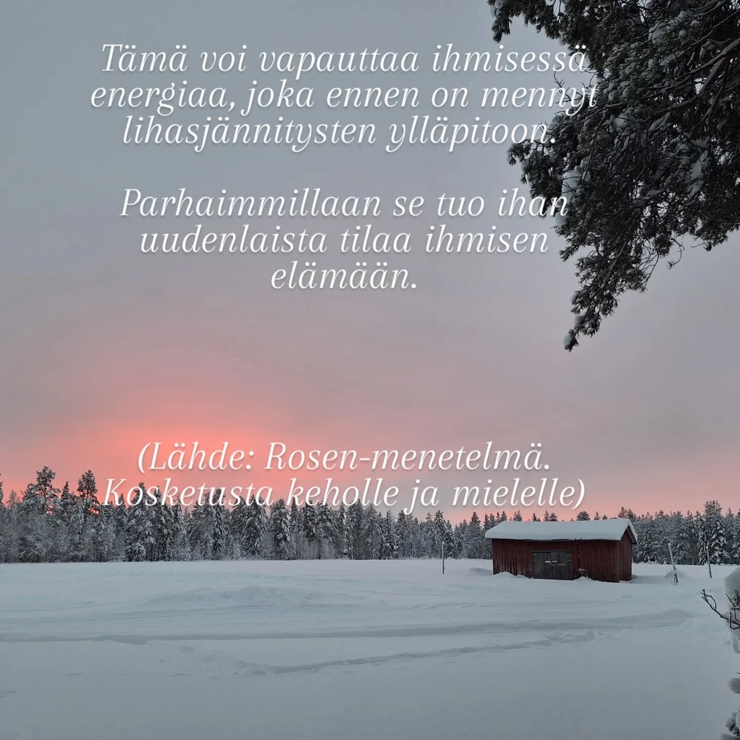 Rosen-metodin avulla on mahdollista päästä kosketuksiin tunteiden ja kokemusten kanssa kehon kautta.
Keho ei valehtele.
Hengityksen ja lihasten avulla keho osoittaa tunteidemme todellisuuden. Lihasjännityksen avulla keho tukahduttaa tunteita ja kokemuksia, joita emme kykene käsittelemään niiden tapahtumahetkellä.
Niinpä usein unohdamme, mitä alunperin tapahtui.
Nuo tunteet ja kokemukset ovat kuitenkin sisällämme, varastoituneina kehoomme, ja meidän on ponnisteltava suuresti pitääksemme ne tietoisuutemme ulottumattomissa.
Kun Rosenterapeutti työskentelee asiakkaan kanssa, hän käyttää ensin kosketusta tuodakseen kireän lihaksen tämän tietoisuuteen.
Kun lihasjännitys hellittää ja hengitys pääsee virtaamaan vapaammin, näyttää se auttavan ihmistä myös pääsemään helpommin yhteyteen tunteiden ja kokemustensa kanssa.
Myös niiden unohdettujen.
Tämä voi vapauttaa ihmisessä energiaa, joka ennen on mennyt lihasjännitysten ylläpitoon.
Parhaimmillaan se tuo ihan uudenlaista tilaa ihmisen elämään.
(Lähde: Rosen-menetelmä. Kosketusta keholle ja mielelle.)