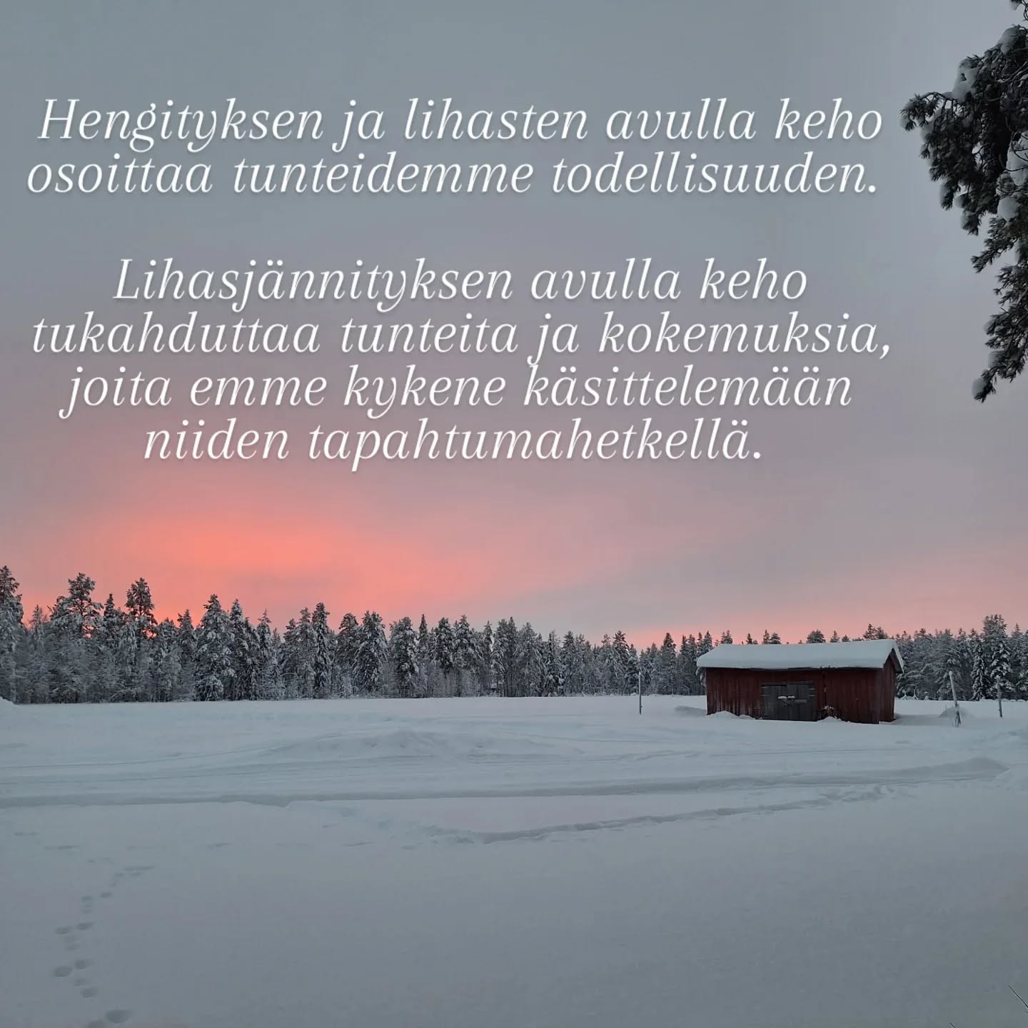Rosen-metodin avulla on mahdollista päästä kosketuksiin tunteiden ja kokemusten kanssa kehon kautta.
Keho ei valehtele.
Hengityksen ja lihasten avulla keho osoittaa tunteidemme todellisuuden. Lihasjännityksen avulla keho tukahduttaa tunteita ja kokemuksia, joita emme kykene käsittelemään niiden tapahtumahetkellä.
Niinpä usein unohdamme, mitä alunperin tapahtui.
Nuo tunteet ja kokemukset ovat kuitenkin sisällämme, varastoituneina kehoomme, ja meidän on ponnisteltava suuresti pitääksemme ne tietoisuutemme ulottumattomissa.
Kun Rosenterapeutti työskentelee asiakkaan kanssa, hän käyttää ensin kosketusta tuodakseen kireän lihaksen tämän tietoisuuteen.
Kun lihasjännitys hellittää ja hengitys pääsee virtaamaan vapaammin, näyttää se auttavan ihmistä myös pääsemään helpommin yhteyteen tunteiden ja kokemustensa kanssa.
Myös niiden unohdettujen.
Tämä voi vapauttaa ihmisessä energiaa, joka ennen on mennyt lihasjännitysten ylläpitoon.
Parhaimmillaan se tuo ihan uudenlaista tilaa ihmisen elämään.
(Lähde: Rosen-menetelmä. Kosketusta keholle ja mielelle.)