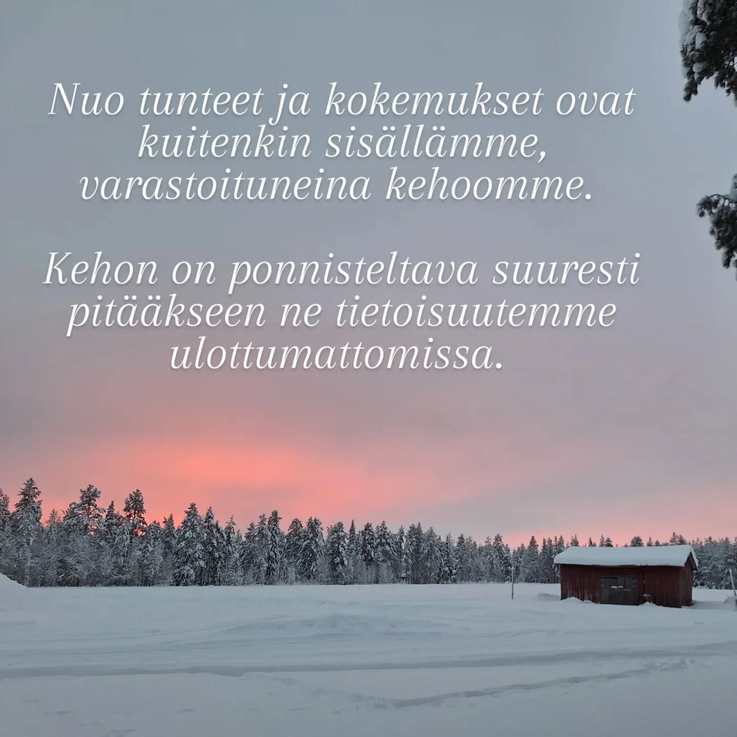 Rosen-metodin avulla on mahdollista päästä kosketuksiin tunteiden ja kokemusten kanssa kehon kautta.
Keho ei valehtele.
Hengityksen ja lihasten avulla keho osoittaa tunteidemme todellisuuden. Lihasjännityksen avulla keho tukahduttaa tunteita ja kokemuksia, joita emme kykene käsittelemään niiden tapahtumahetkellä.
Niinpä usein unohdamme, mitä alunperin tapahtui.
Nuo tunteet ja kokemukset ovat kuitenkin sisällämme, varastoituneina kehoomme, ja meidän on ponnisteltava suuresti pitääksemme ne tietoisuutemme ulottumattomissa.
Kun Rosenterapeutti työskentelee asiakkaan kanssa, hän käyttää ensin kosketusta tuodakseen kireän lihaksen tämän tietoisuuteen.
Kun lihasjännitys hellittää ja hengitys pääsee virtaamaan vapaammin, näyttää se auttavan ihmistä myös pääsemään helpommin yhteyteen tunteiden ja kokemustensa kanssa.
Myös niiden unohdettujen.
Tämä voi vapauttaa ihmisessä energiaa, joka ennen on mennyt lihasjännitysten ylläpitoon.
Parhaimmillaan se tuo ihan uudenlaista tilaa ihmisen elämään.
(Lähde: Rosen-menetelmä. Kosketusta keholle ja mielelle.)