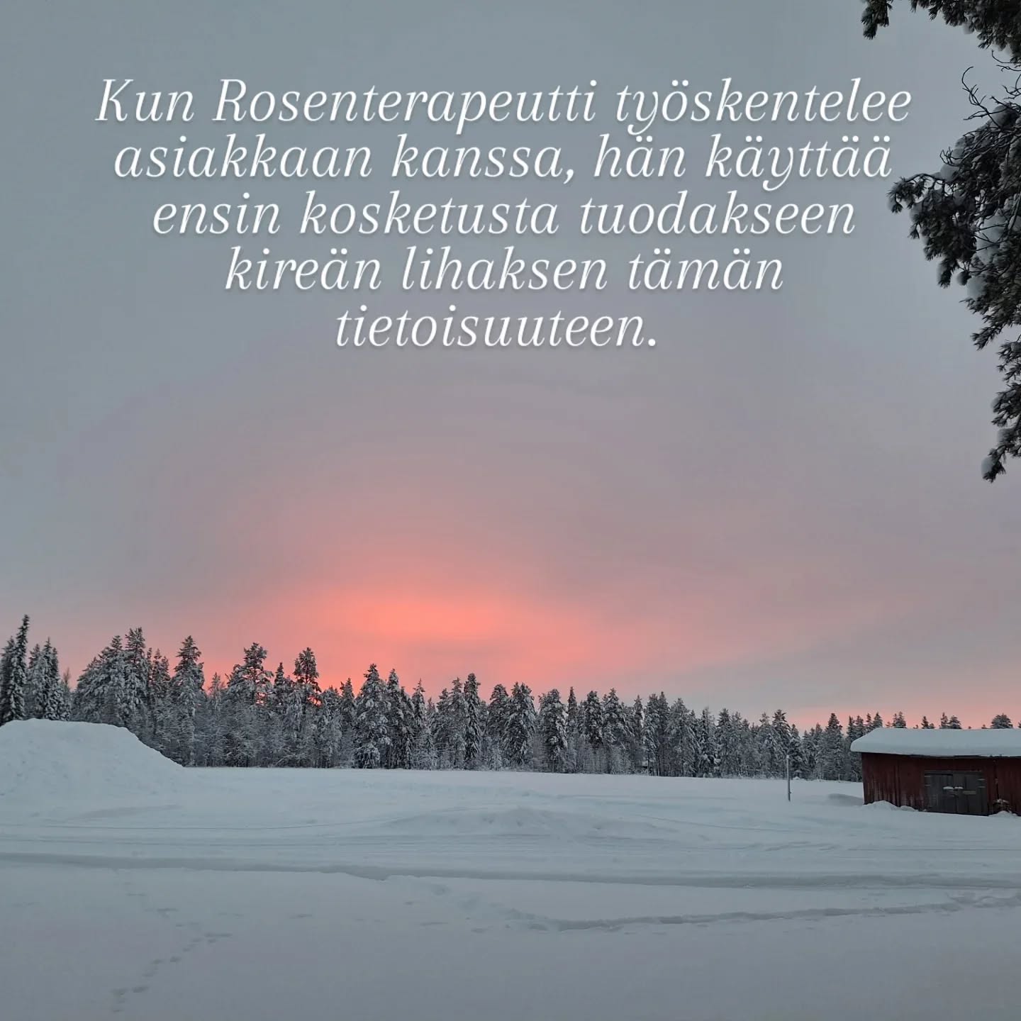 Rosen-metodin avulla on mahdollista päästä kosketuksiin tunteiden ja kokemusten kanssa kehon kautta.
Keho ei valehtele.
Hengityksen ja lihasten avulla keho osoittaa tunteidemme todellisuuden. Lihasjännityksen avulla keho tukahduttaa tunteita ja kokemuksia, joita emme kykene käsittelemään niiden tapahtumahetkellä.
Niinpä usein unohdamme, mitä alunperin tapahtui.
Nuo tunteet ja kokemukset ovat kuitenkin sisällämme, varastoituneina kehoomme, ja meidän on ponnisteltava suuresti pitääksemme ne tietoisuutemme ulottumattomissa.
Kun Rosenterapeutti työskentelee asiakkaan kanssa, hän käyttää ensin kosketusta tuodakseen kireän lihaksen tämän tietoisuuteen.
Kun lihasjännitys hellittää ja hengitys pääsee virtaamaan vapaammin, näyttää se auttavan ihmistä myös pääsemään helpommin yhteyteen tunteiden ja kokemustensa kanssa.
Myös niiden unohdettujen.
Tämä voi vapauttaa ihmisessä energiaa, joka ennen on mennyt lihasjännitysten ylläpitoon.
Parhaimmillaan se tuo ihan uudenlaista tilaa ihmisen elämään.
(Lähde: Rosen-menetelmä. Kosketusta keholle ja mielelle.)