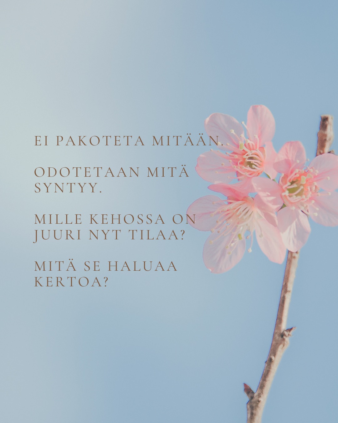 Tervetuloa Rosen-hoitoon! #rosenterapia #rosenmenetelmä #rosenmetodi #rosenkehoterapia #kehoterapia #kehomieli #kehotietoisuus #suomenrosenterapeutitry #rosenterapeutti #rosenharjoitusjaksolainen