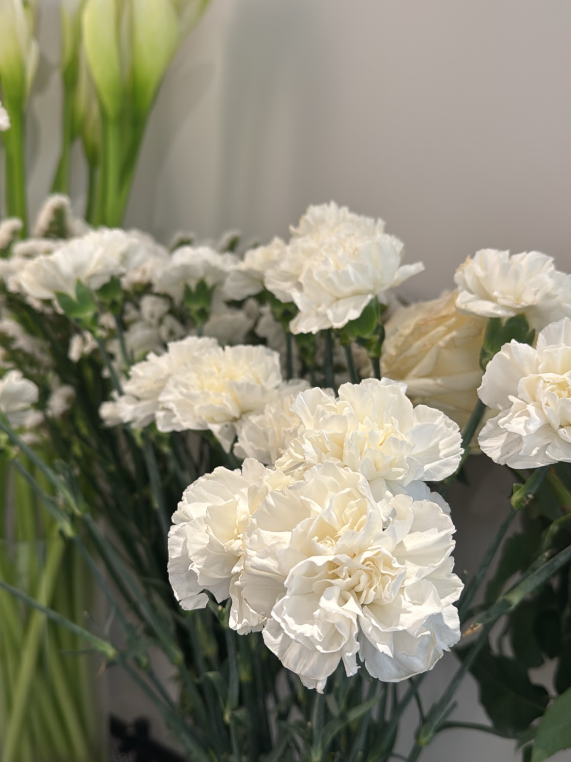 Понеделник е ден за вдъхновение!
Ползотворна и вдъхновяваща да ви е седмицата, приятели!