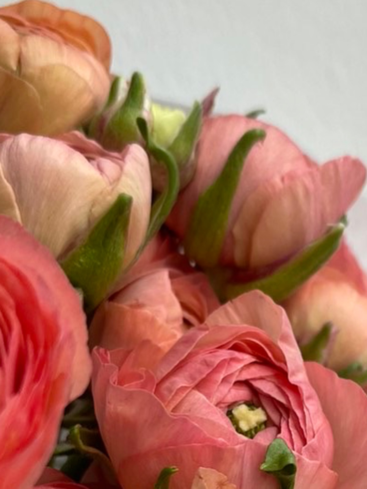 Понеделник е ден за вдъхновение!
Ползотворна и вдъхновяваща да ви е седмицата, приятели!