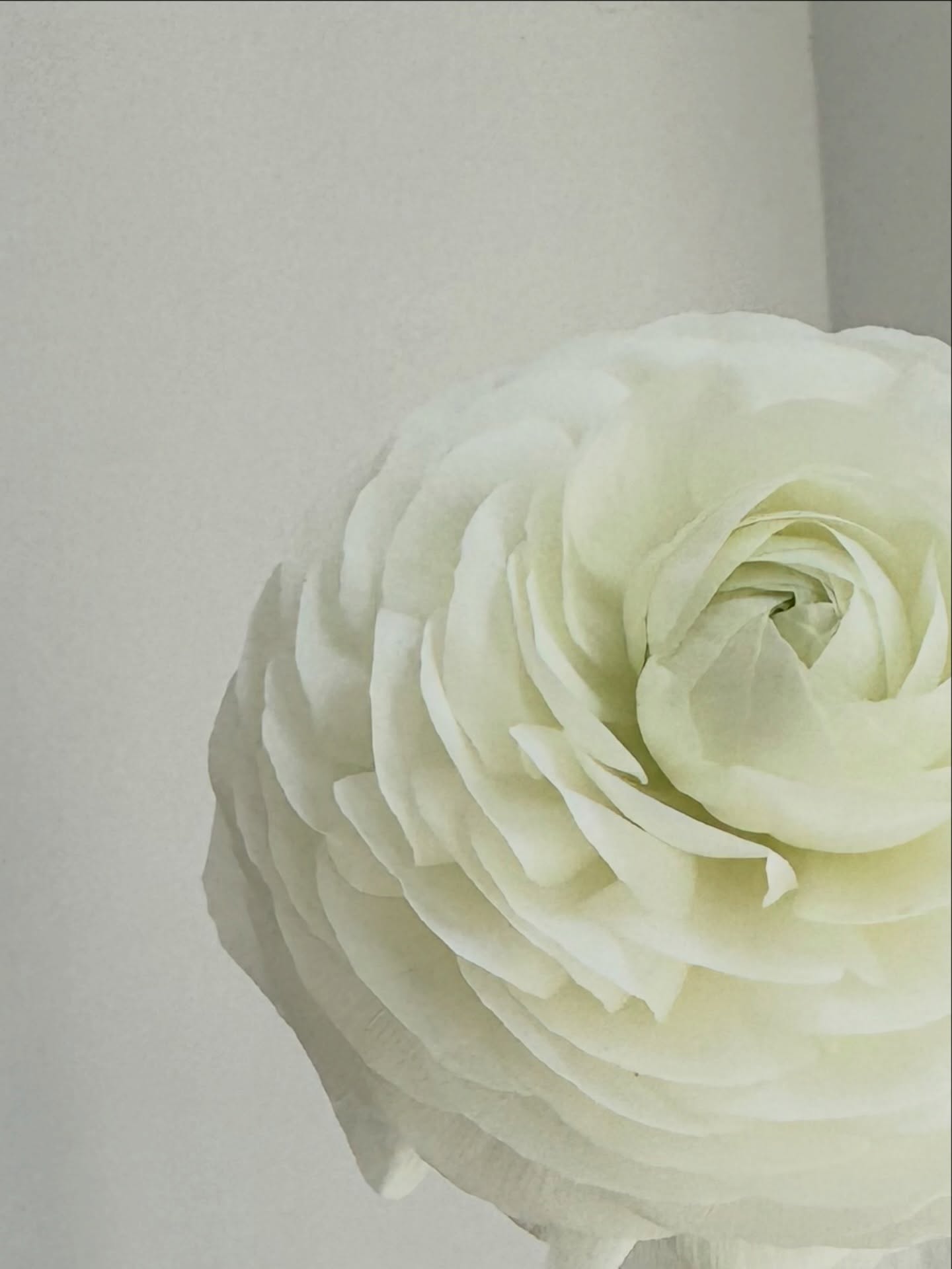 Бяло, по-бяло, най-бяло! #whiteinspo