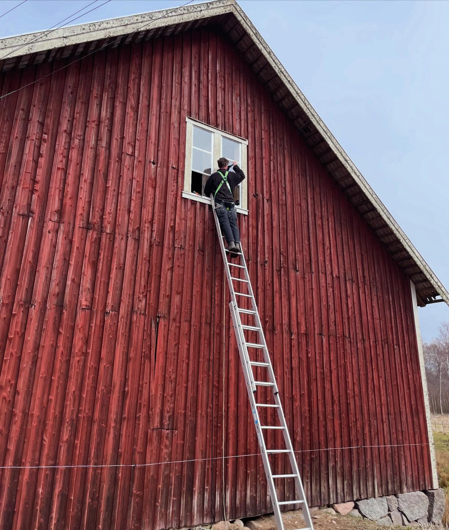 Idag har det varit hög nivå på jobbet! Renovering av fönster på hög höjd.
Klart man ska ha spröjs även på ladan 😅 Men de var inte öppningsbara så de gick inte att plocka ner utan det var bara att klättra upp. Det har varit utan glas sen vi flyttade in och det är där vedförvaringen är så det har känts ganska angeläget att få ordning på det eftersom det känns lite tråkigt när det regnar på veden.
Det kan tyckas överflödigt med ett fönster där uppe men det är fascinerande vad mycket ljus det (och alla springor i panelen) släpper in.
Det är tur vi får hjälp med fönstrena av min fantastiska lillebror @j.ernvik som riskerar livet med att klättra på höga stegar 😱
/J