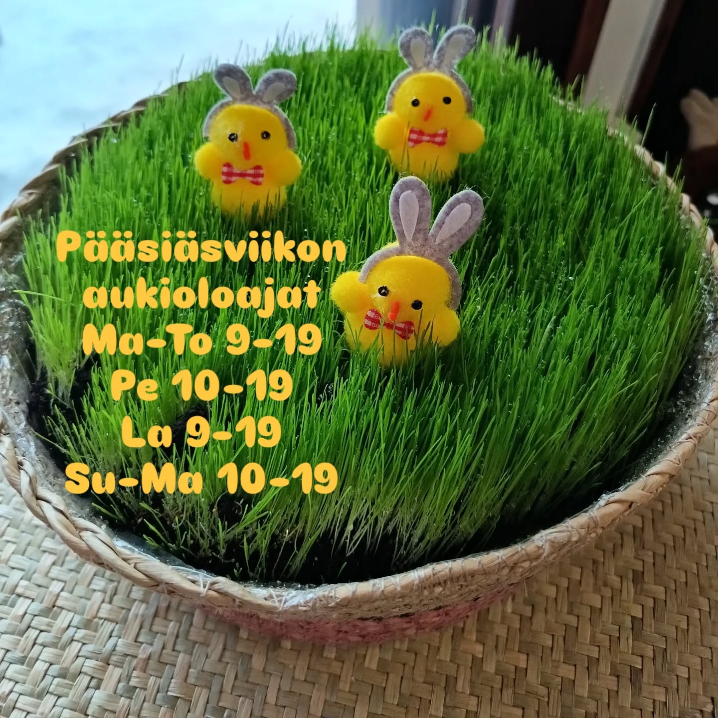 Olemme avoinna pääsiäisenä joka päivä! 💛🐥
Ma-To klo 9.00-19.00
Pitkäperjantai klo 10.00-19.00
La klo 9.00-19.00
Sunnuntai klo 10.00-19.00
Maanantai 6.4 klo 10.00-19.00
Tervetuloa!