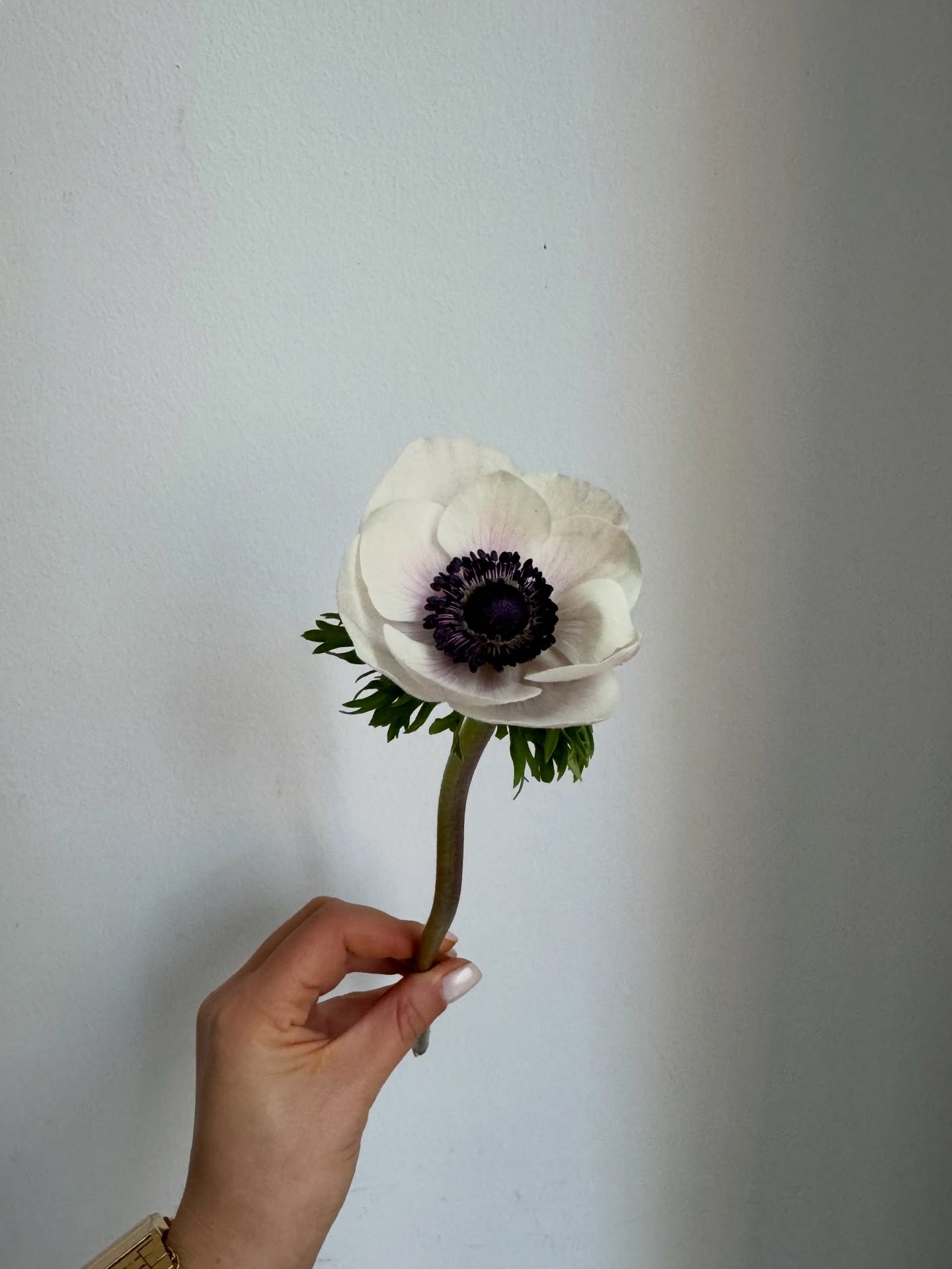 Бяло, по-бяло, най-бяло! #whiteinspo