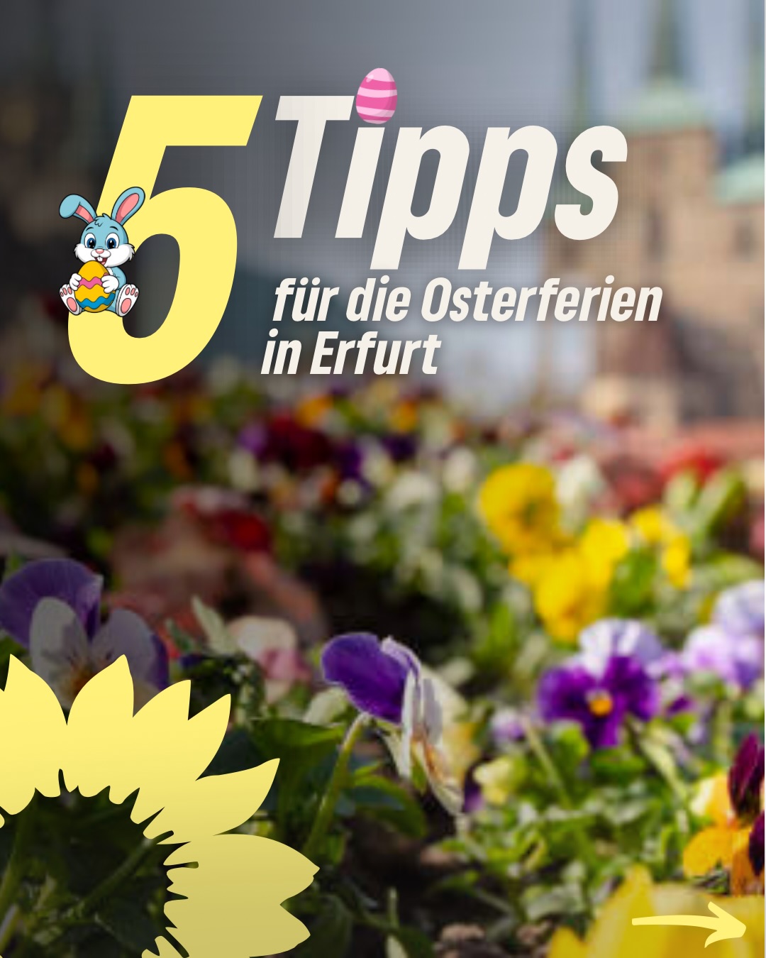 🌷Osterferien in Erfurt – noch nichts geplant?
Wir haben 5 Tipps für euch, wie ihr die freie Zeit kreativ, spannend und abwechslungsreich gestalten könnt:
✨ Kreativ werden beim Papier-Workshop im Museum für Thüringer Volkskunde
🎨 Mitmachangebote rund um Pessach im Netzwerk Jüdisches Leben
🏺 Spannende Workshops im Stadtmuseum für kleine Entdecker:innen
🖌️ Kunst & Design erleben im Angermuseum
📅 Noch mehr Angebote im Ferienkalender des Stadtjugendrings
Speichert euch die Tipps ab und plant eure Osterferien! 🌼🐣
#erfurt #osterferien #familie #kinder #freizeit