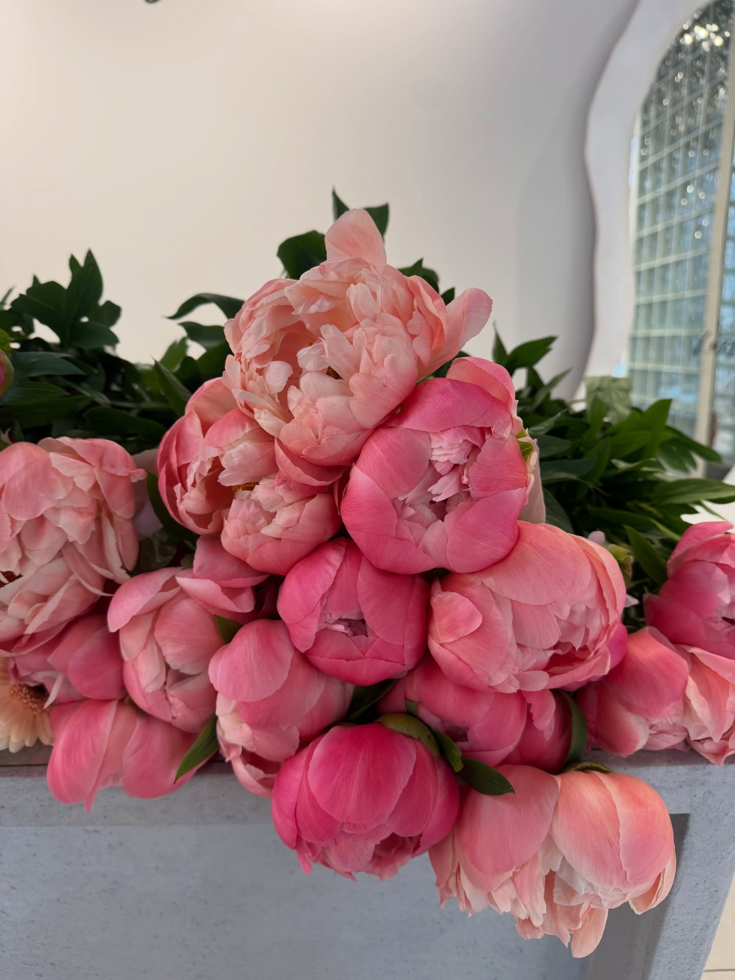 Peony season ON 🌸 #peonyseason