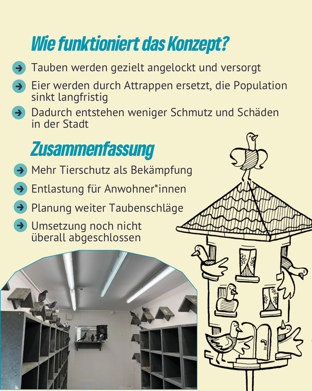 🏗️🕊️Mit dem zweiten kommunalen
Taubenschlag in Erfurt sorgen wir neben mehr Tierschutz, auch für eine Entlastung unsere Stadtbewohner*innen. Weniger
Taubennachwuchs heißt weniger Verschmutzung - ein Gewinn für alle!🌿✨
#erfurt #grüneerfurt #taubenschlag #stadttauben #erfurterstadttauben