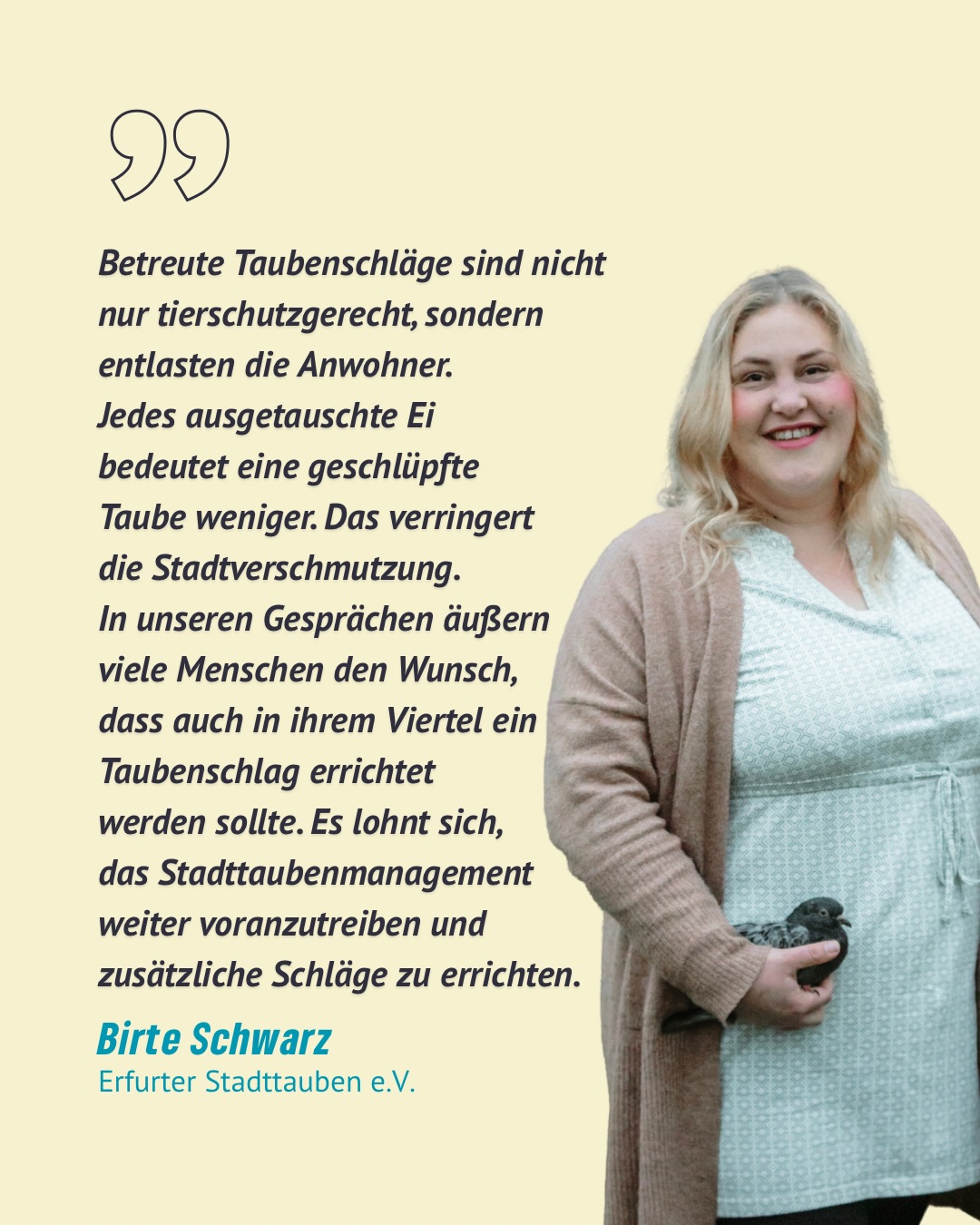 🏗️🕊️Mit dem zweiten kommunalen
Taubenschlag in Erfurt sorgen wir neben mehr Tierschutz, auch für eine Entlastung unsere Stadtbewohner*innen. Weniger
Taubennachwuchs heißt weniger Verschmutzung - ein Gewinn für alle!🌿✨
#erfurt #grüneerfurt #taubenschlag #stadttauben #erfurterstadttauben