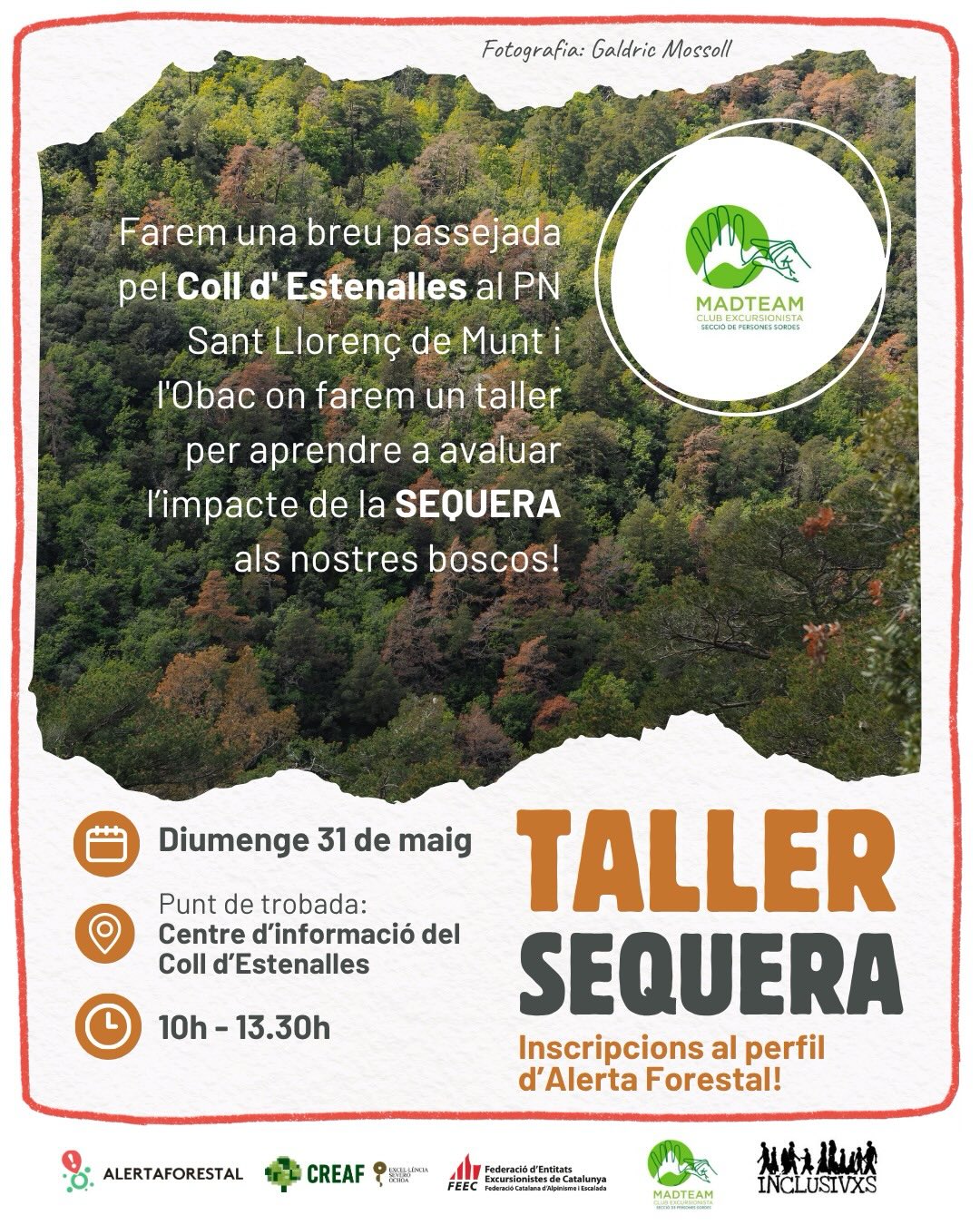 Com afecta la manca d’aigua als nostres boscos? Vine a aques…