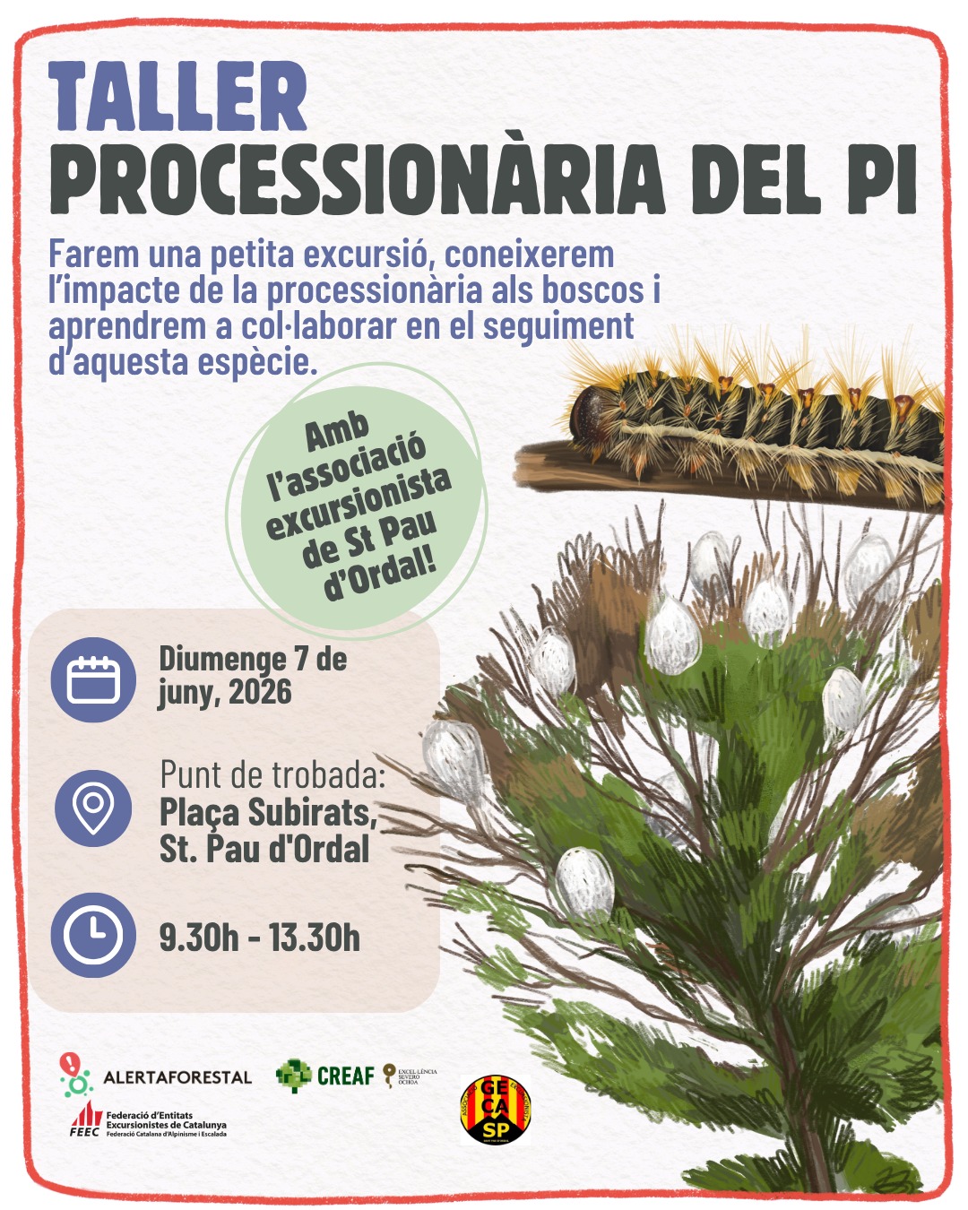 Voleu conèxier detalls sobre la #processionària del pi i els…