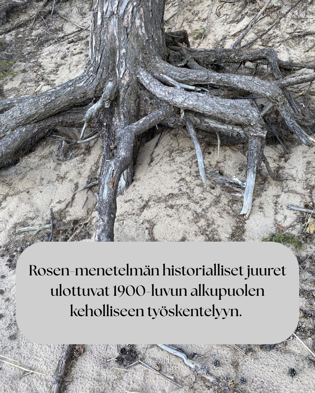 ”Tämä työ on syntynyt omien kokemusteni ja oivallusteni pohjalta.” – Marion Rosen
Rosen-menetelmän historialliset juuret ulottuvat 1900-luvun alkupuolen keholliseen työskentelyyn.
Lucy Heyer ja tohtori Gustav Hayer työskentelivät ryhmän kanssa, joka käytti hierontaa, hengitystä ja rentoutumista apuna psykoterapiassa. Näiden potilaiden hoitoaikojen havaittiin lyhenevän verrattuna tavanomaisiin hoitoaikoihin.
Lucy tarjoutui opettamaan Marionia: ”Työskentely Lucy Hayerin kanssa auttoi minua muuttumaan sisäisesti niin, että pystyin hyväksymään itseni.”
Samalla Marion tutustui ihmiskehoon syvällisesti ihaillen sen monimuotoisuutta. Tätä tietämystä täydensi se, mitä hän näki Gustav Hayerin tekevän psykoterapian parissa.
Tämän jälkeen työskennellessään Englannissa Tavistock-klinikalla, jossa hänen veljensä oli psykiatrina, Marion käytti uusia taitojaan ja lääkärit rupesivat lähettämään hänelle vaikeimpia potilaitaan. Heidän oireet hävisivät.
Seuraavaksi Marion päätti lähteä Yhdysvaltoihin. Odotellessaan viisumia, hän vietti puolitoista vuotta Ruotsissa opiskellen fysioterapeutiksi. Tämä vahvisti sitä mitä hän oli jo aiemmin oppinut.
Erilaisten vahvojen asiakas kokemusten ja lääketieteelliseen tiedekuntaan valmistavan kurssin jälkeen Marion Rosen aloitti opettamaan oppimaansa…
”Kuudenkymmenen viime vuoden ajan olen koko ajan oppinut lisää.”
”Työni ei koskaan ole valmis, sillä sitä mukaa kuin tietoisuuteni avartuu, ymmärrän yhä enemmän.”
”Nyt tukea on helpommin saatavilla, sillä tiedeyhteisö on kyennyt osoittamaan paikkansapitäviksi niitä kokemuksia, joita minulla on ollut ja joita olen ollut todistamassa.”
Lähde: Rosen-menetelmä Kosketusta keholle ja mielelle
Tänä päivänä Rosen-menetelmää opetetaan ja harjoitetaan monissa maissa ympäri maailmaa.
Rosen-menetelmän keskeinen ajatus on, että keho kantaa mukanaan elämänhistoriaa, niin fyysisesti, kuin emotionaalisesti. Menetelmän tarkoituksena ei ole analysoida tai korjata ihmistä, vaan auttaa häntä tulemaan tietoisemmaksi omasta yksilöllisestä kehollisesta kokemuksestaan ja lisäämään näin yhteyttä omiin tunteisiin ja tarpeisiinsa.
#suomenrosenterapeutitry #rosenmenetelmä #rosenmetodi #rosenhoito #rosenkehohoito