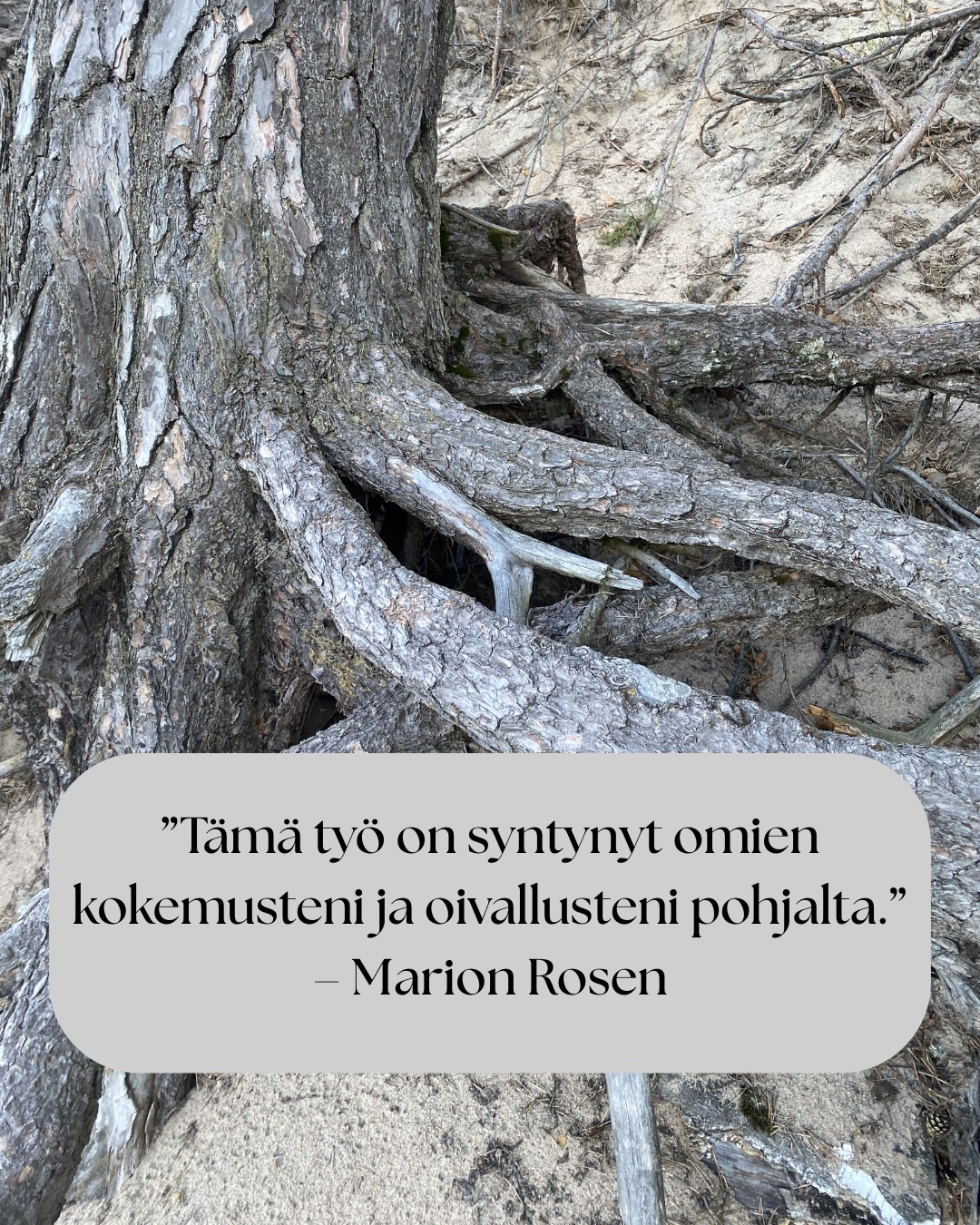 ”Tämä työ on syntynyt omien kokemusteni ja oivallusteni pohjalta.” – Marion Rosen
Rosen-menetelmän historialliset juuret ulottuvat 1900-luvun alkupuolen keholliseen työskentelyyn.
Lucy Heyer ja tohtori Gustav Hayer työskentelivät ryhmän kanssa, joka käytti hierontaa, hengitystä ja rentoutumista apuna psykoterapiassa. Näiden potilaiden hoitoaikojen havaittiin lyhenevän verrattuna tavanomaisiin hoitoaikoihin.
Lucy tarjoutui opettamaan Marionia: ”Työskentely Lucy Hayerin kanssa auttoi minua muuttumaan sisäisesti niin, että pystyin hyväksymään itseni.”
Samalla Marion tutustui ihmiskehoon syvällisesti ihaillen sen monimuotoisuutta. Tätä tietämystä täydensi se, mitä hän näki Gustav Hayerin tekevän psykoterapian parissa.
Tämän jälkeen työskennellessään Englannissa Tavistock-klinikalla, jossa hänen veljensä oli psykiatrina, Marion käytti uusia taitojaan ja lääkärit rupesivat lähettämään hänelle vaikeimpia potilaitaan. Heidän oireet hävisivät.
Seuraavaksi Marion päätti lähteä Yhdysvaltoihin. Odotellessaan viisumia, hän vietti puolitoista vuotta Ruotsissa opiskellen fysioterapeutiksi. Tämä vahvisti sitä mitä hän oli jo aiemmin oppinut.
Erilaisten vahvojen asiakas kokemusten ja lääketieteelliseen tiedekuntaan valmistavan kurssin jälkeen Marion Rosen aloitti opettamaan oppimaansa…
”Kuudenkymmenen viime vuoden ajan olen koko ajan oppinut lisää.”
”Työni ei koskaan ole valmis, sillä sitä mukaa kuin tietoisuuteni avartuu, ymmärrän yhä enemmän.”
”Nyt tukea on helpommin saatavilla, sillä tiedeyhteisö on kyennyt osoittamaan paikkansapitäviksi niitä kokemuksia, joita minulla on ollut ja joita olen ollut todistamassa.”
Lähde: Rosen-menetelmä Kosketusta keholle ja mielelle
Tänä päivänä Rosen-menetelmää opetetaan ja harjoitetaan monissa maissa ympäri maailmaa.
Rosen-menetelmän keskeinen ajatus on, että keho kantaa mukanaan elämänhistoriaa, niin fyysisesti, kuin emotionaalisesti. Menetelmän tarkoituksena ei ole analysoida tai korjata ihmistä, vaan auttaa häntä tulemaan tietoisemmaksi omasta yksilöllisestä kehollisesta kokemuksestaan ja lisäämään näin yhteyttä omiin tunteisiin ja tarpeisiinsa.
#suomenrosenterapeutitry #rosenmenetelmä #rosenmetodi #rosenhoito #rosenkehohoito