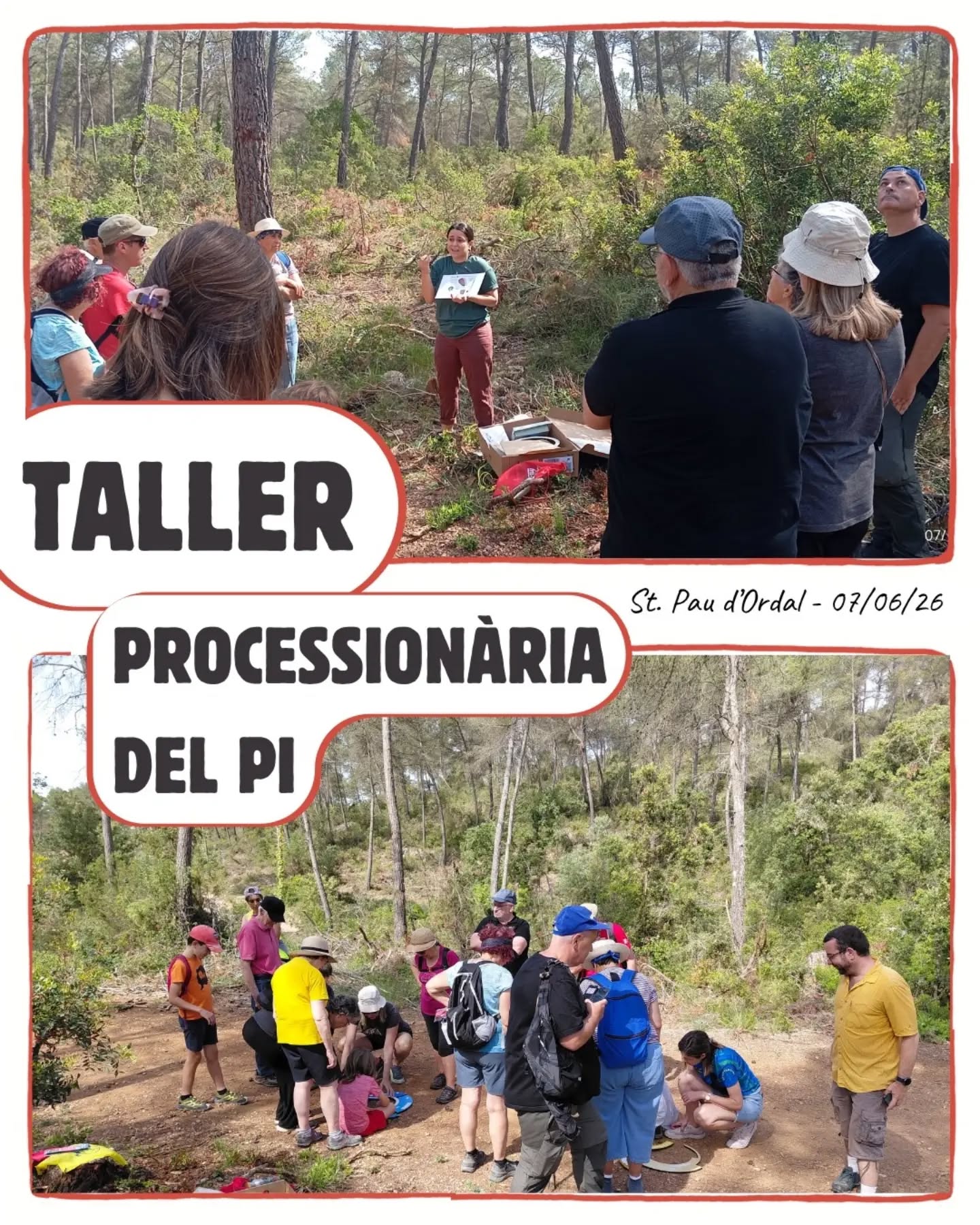 🔸Diumenge passat vam reunir-nos a Sant Pau d’Ordal per gaudi…