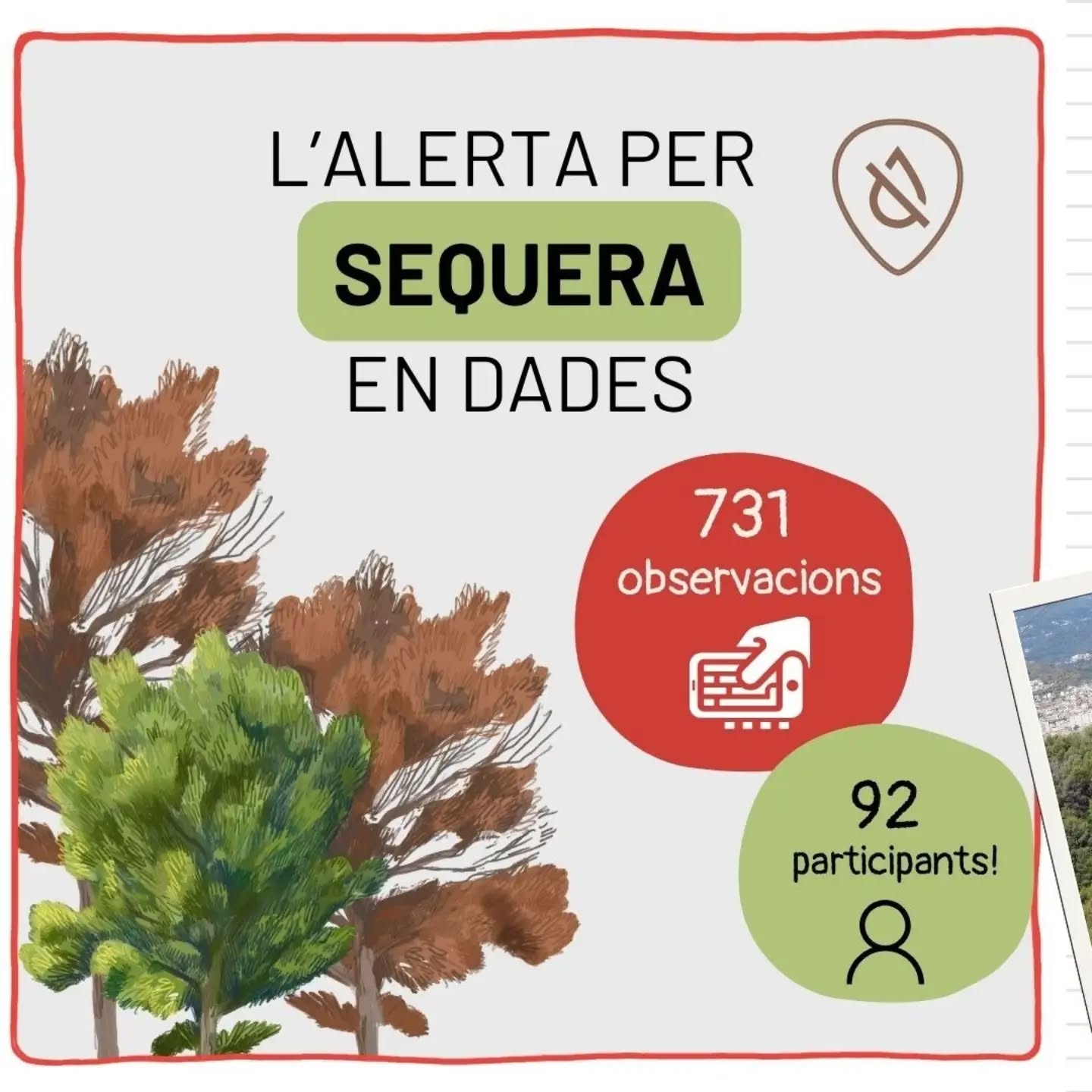 A AlertaForestal portem des del 2017 recollint dades sobre c…