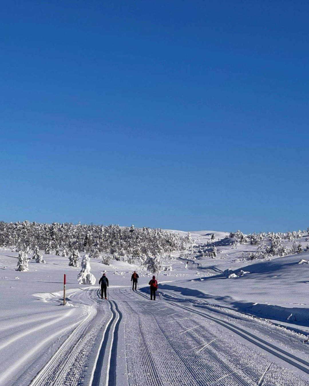 ❄️ 📝 Winter is getting closer – and we are ready to start dreaming about the ski season!
Simon, our Product Designer and guide, shares his favourite cross-country skiing area in Valdres: Vaset and Gomobu.
Discover his recommended routes, from sheltered forest trails to longer tours across the open mountain plateau – plus a small local Easter secret.
His best advice? Bring something good in your backpack, choose a trail that suits you and make a day of it.
Read Simon’s blog through the link in our story.