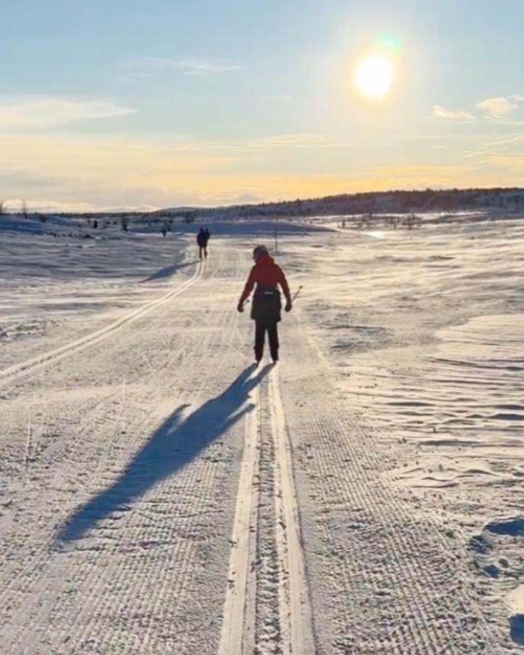 ⛷️ Explore the groomed trails of Valdres and Jotunheimen, with routes for both beginners and experienced skiers.
Stay at one cosy mountain lodge and choose your daily tours, or ski from lodge to lodge for a little more adventure.
We arrange accommodation, meals, transport, ski rental and, on selected tours, luggage transfer – so you can spend more time enjoying the snow-covered forests and mountain views.
See you out on the trails! ❄️