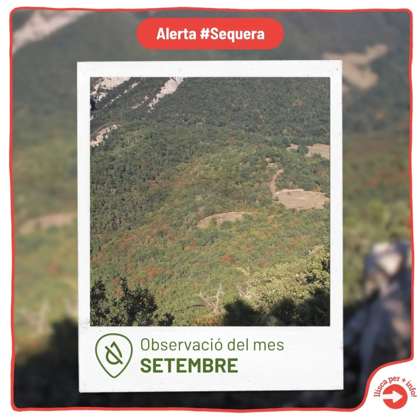 Durant el mes de setembre, les observacions de sequera a #Ca…